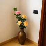 Torre Ancinale Nocleg ze śniadaniem 3*
